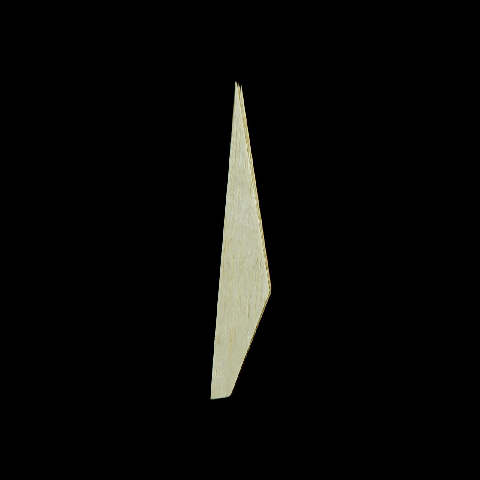 Fin 4